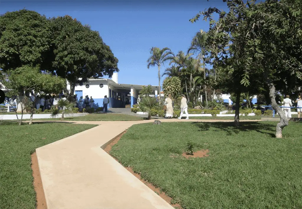 Healing garden with trees and pathway outside a wellness center for distance energy healing sessions.