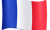 French flag French flag icon for language selection