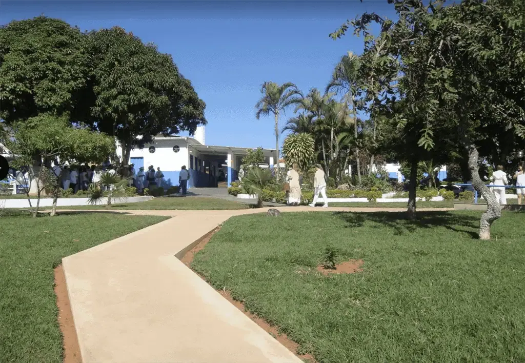Healing garden with trees and pathway outside a wellness center for distance energy healing sessions.