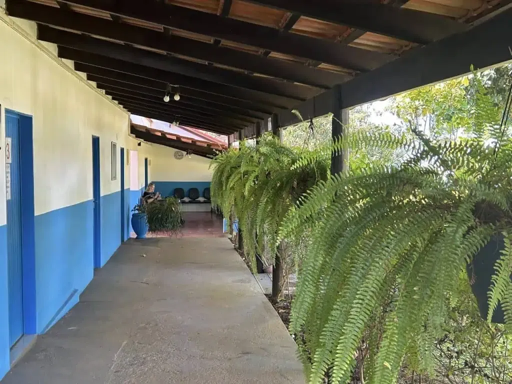 Alleviate stress and promote healing through distance energy healing in a peaceful, nature-inspired setting with vibrant plants and calming surroundings.