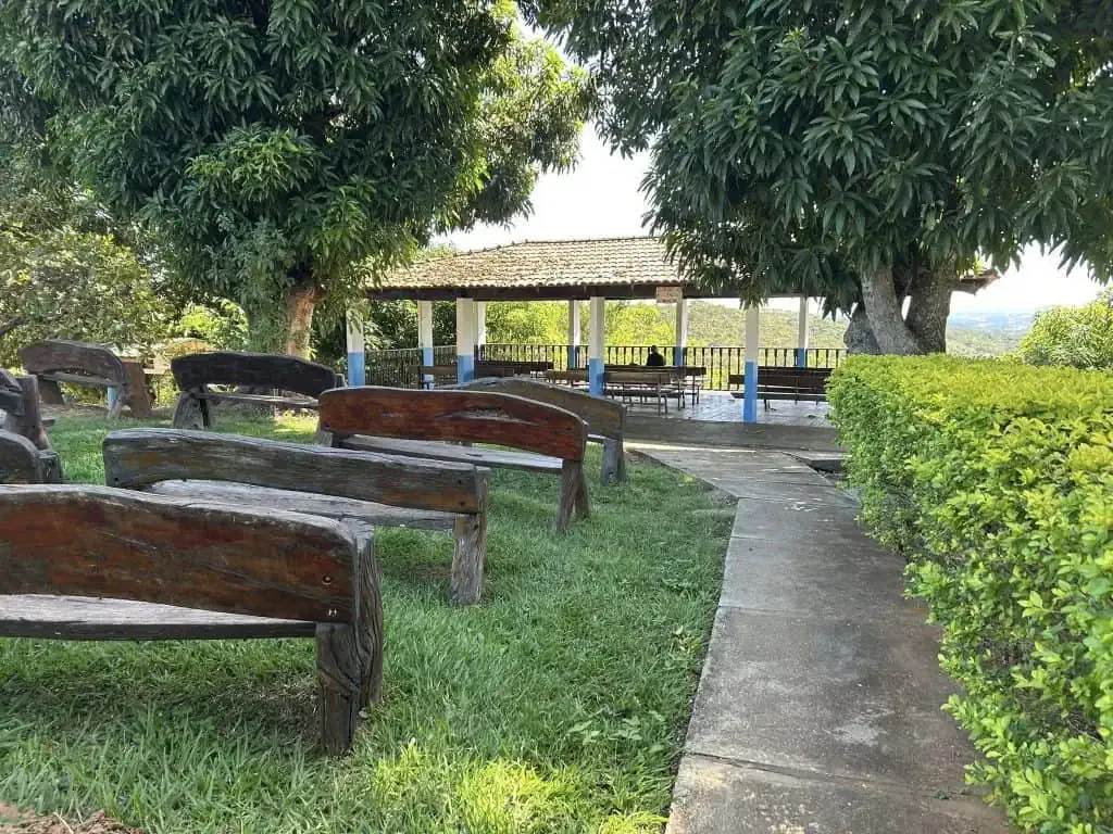 Peaceful outdoor space with wooden benches, lush green trees, and a shaded pavilion, ideal for relaxation and energy healing sessions in a tranquil natural setting.